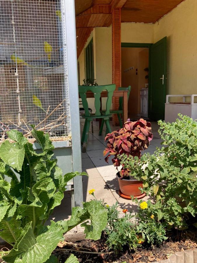 Apartmán Leander Vendeghaz Gyöngyös Exteriér fotografie